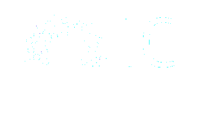 infocamere